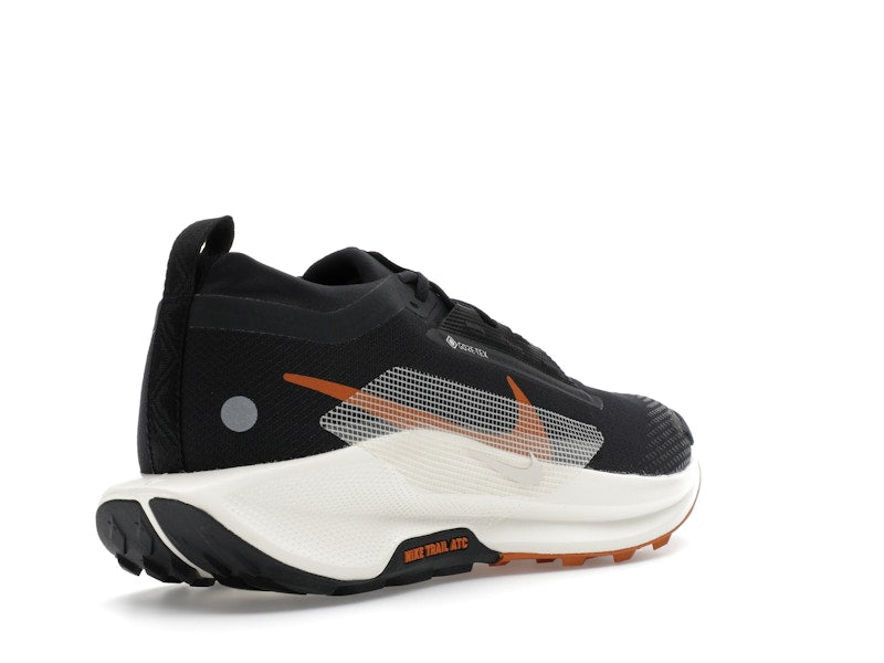 Nike Pegasus Trail 5 Gore-Tex Off Noir Black Monarch Pale Ivory