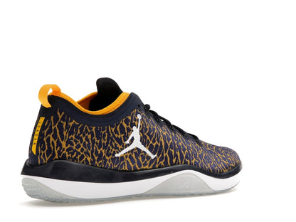Jordan Trainer 1 Low Michigan