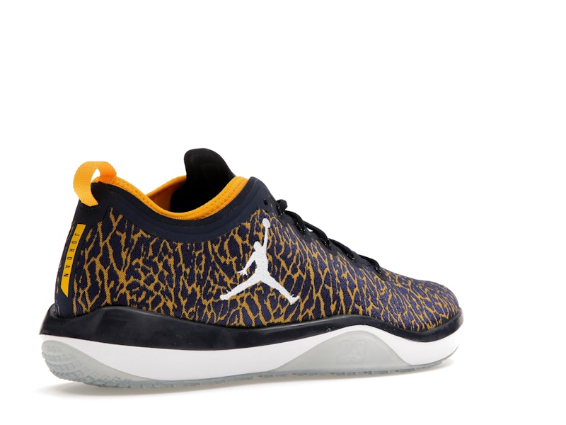 Jordan Trainer 1 Low Michigan