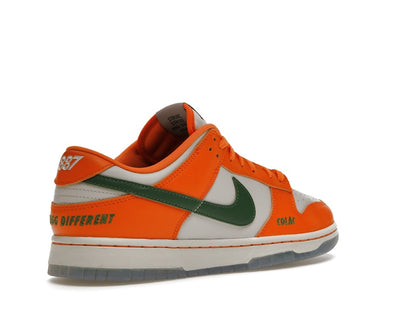 Nike Dunk Low FAMU