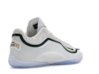 Nike LeBron 23 From This Point Forward