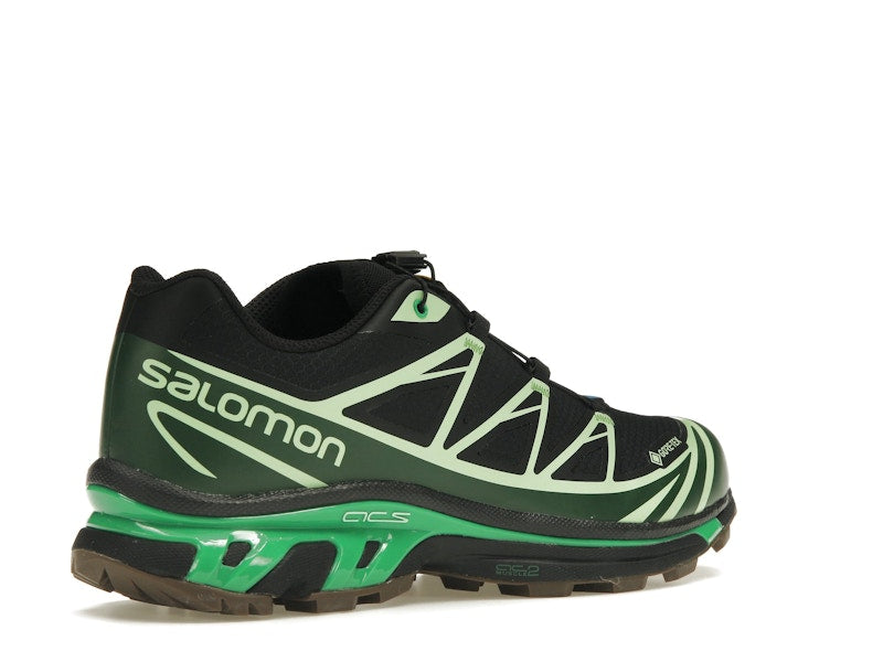 Salomon Advanced XT-6 Gore-Tex Eden Green Ash