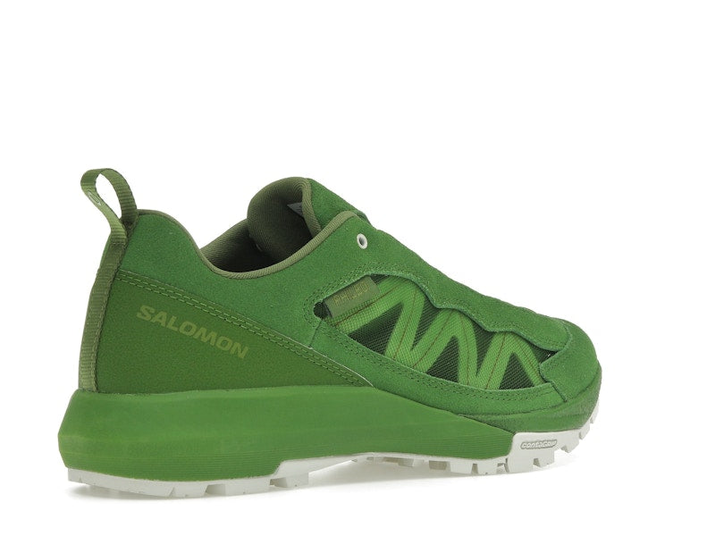 Salomon Alpinway SP2 Philéo Landowski Treetop