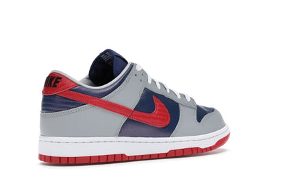 Nike Dunk Low CO.JP Samba (2020)