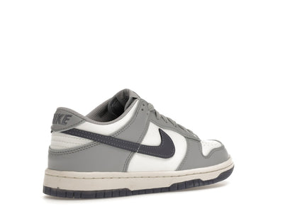 Nike Dunk Low Platinum Tint Light Carbon (GS)