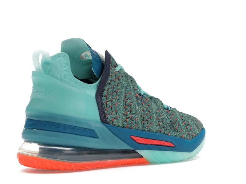 Nike LeBron 18 We Are Family