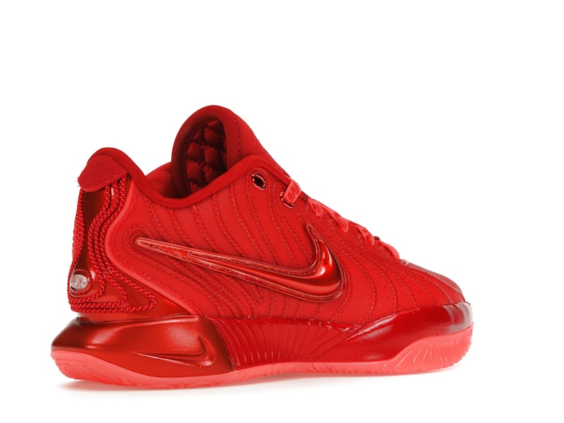 Nike LeBron 21 James Gang