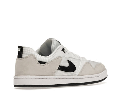 Nike Sb Alleyoop White