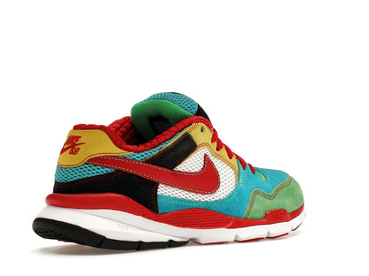 Nike Free Rod Plus Multicolor