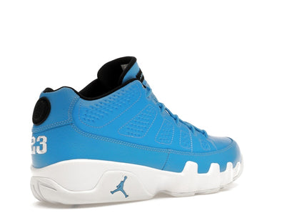 Jordan 9 Retro Low Pantone