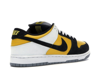 Nike SB Dunk Low Bic