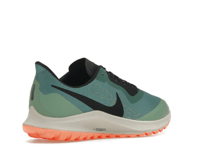 Nike Zoom Pegasus 36 Trail Gore-Tex Bicoastal (Women's)