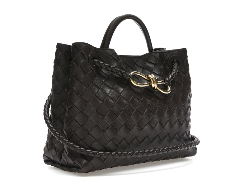 Bottega Veneta Small Andiamo Fondant