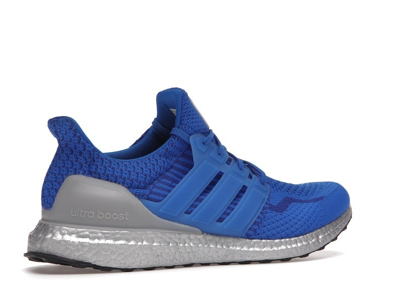adidas Ultra Boost 5.0 DNA NASA Football Blue