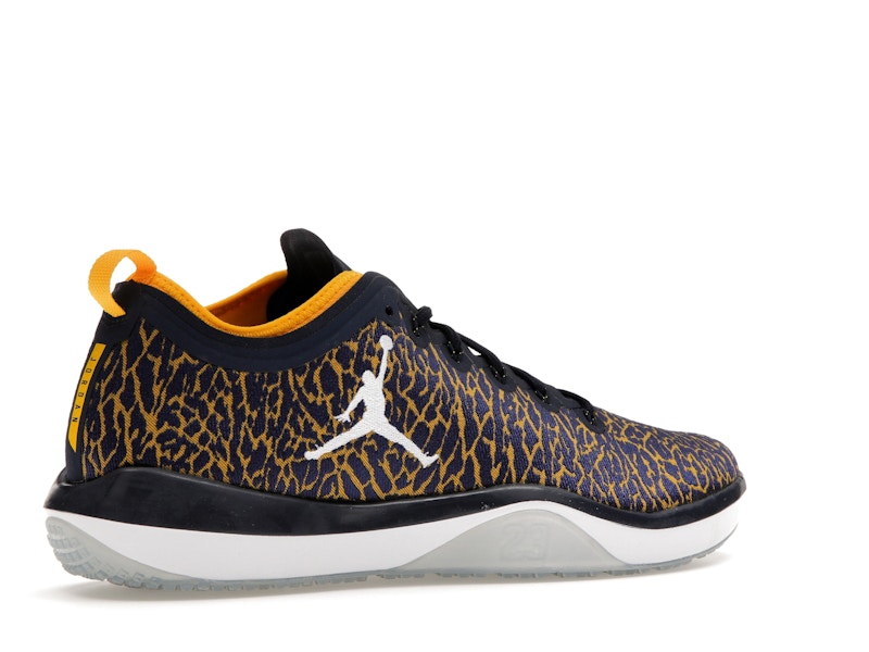 Jordan Trainer 1 Low Michigan