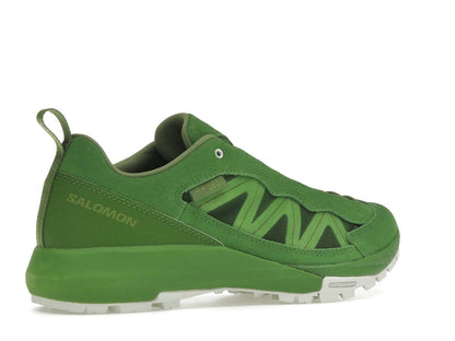 Salomon Alpinway SP2 Philéo Landowski Treetop