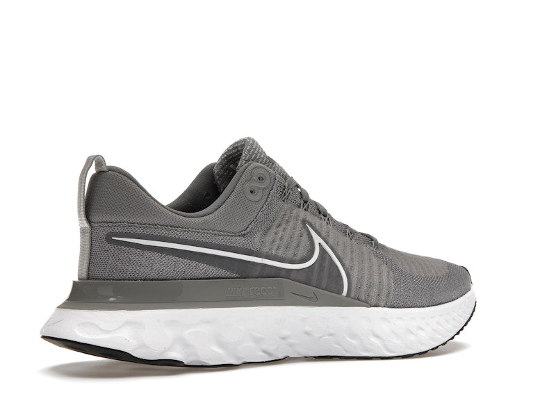 Nike React Infinity Run Flyknit 2 Particle Grey