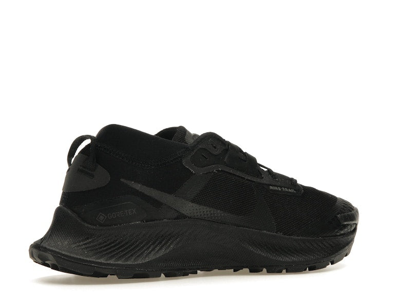 Nike Pegasus Trail 3 Gore-Tex Black Dark Smoke Grey (Women's)