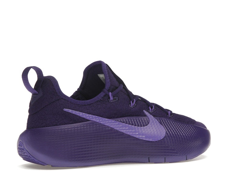 Nike LeBron TR 1 Purple Rain