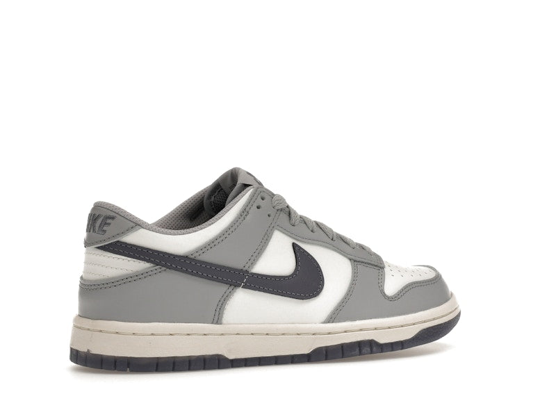 Nike Dunk Low Platinum Tint Light Carbon (GS)