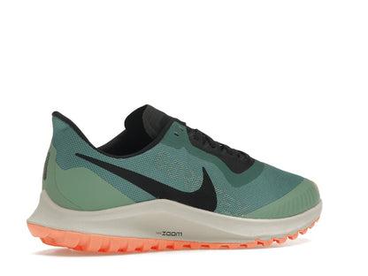 Nike Zoom Pegasus 36 Trail Gore-Tex Bicoastal (Women's)
