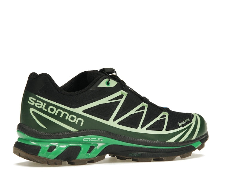 Salomon Advanced XT-6 Gore-Tex Eden Green Ash