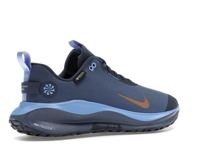 Nike React Infinity Run 4 Gore-Tex Thunder Blue Diffused Blue Royal Pulse Metallic Red Bronze (Women's)
