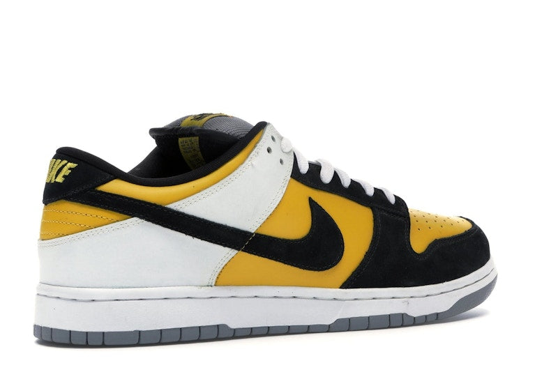 Nike SB Dunk Low Bic