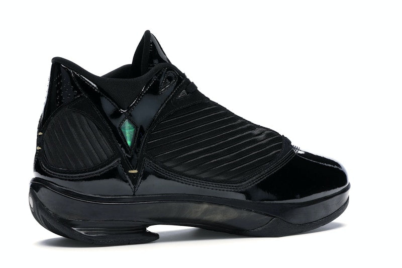 Jordan 2009 S23