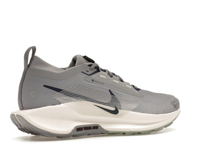 Nike React Pegasus Trail 5 Gore-Tex Cement Grey Jade Horizon Burgundy Crush Midnight Navy