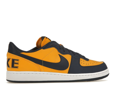 Nike Terminator Low Michigan
