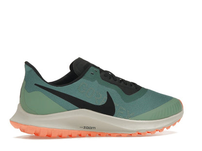 Nike Zoom Pegasus 36 Trail Gore-Tex Bicoastal (Women's)