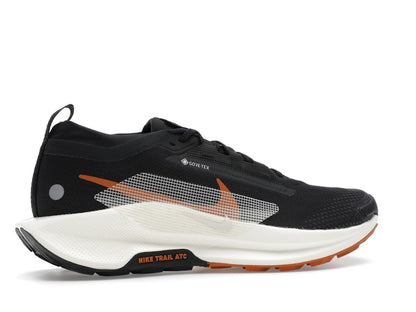 Nike Pegasus Trail 5 Gore-Tex Off Noir Black Monarch Pale Ivory