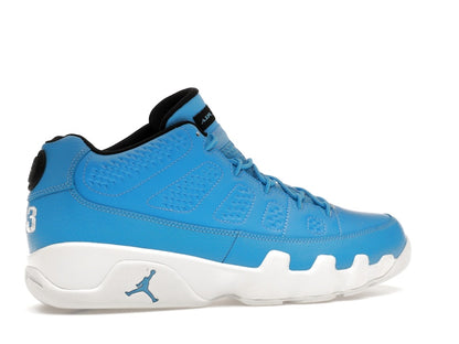 Jordan 9 Retro Low Pantone