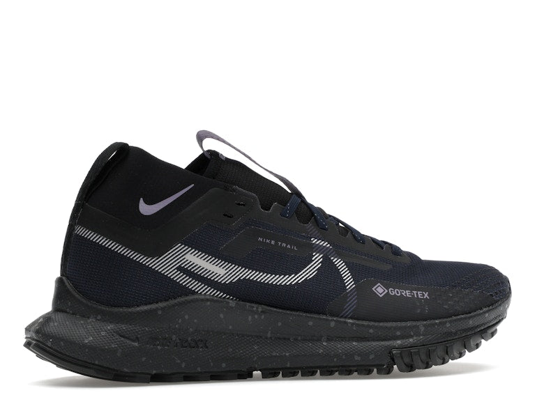 Nike Pegasus Trail 4 Gore-Tex Dark Obsidian Metallic Silver (Women's)