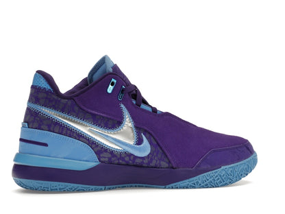Nike Zoom LeBron NXXT Gen AMPD Summit Lake Hornets