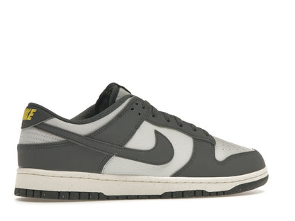 Nike Dunk Low Next Nature Iron Grey Lightning