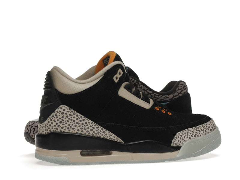 Jordan 3 Retro & Nike Air Max 1 atmos Pack