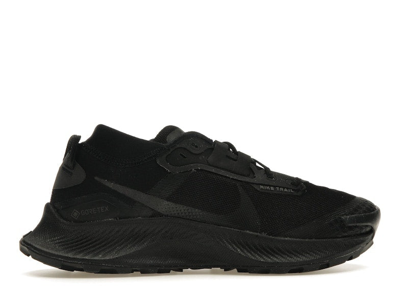 Nike Pegasus Trail 3 Gore-Tex Black Dark Smoke Grey (Women's)