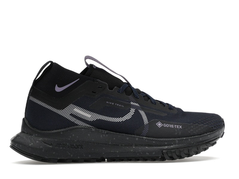 Nike Pegasus Trail 4 Gore-Tex Dark Obsidian Metallic Silver (Women's)