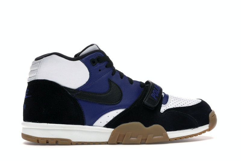 Nike SB Air Trainer 1 Polar Skate Co