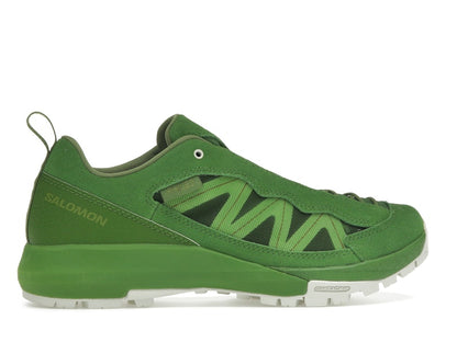 Salomon Alpinway SP2 Philéo Landowski Treetop