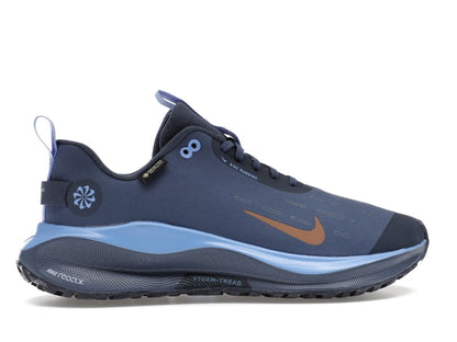 Nike React Infinity Run 4 Gore-Tex Thunder Blue Diffused Blue Royal Pulse Metallic Red Bronze (Women's)