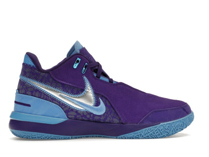 Nike Zoom LeBron NXXT Gen AMPD Summit Lake Hornets