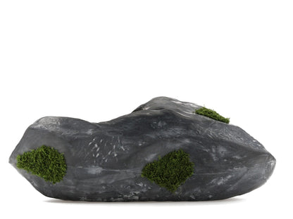 Bravest Studios Rock Shoe Canyaon Granite